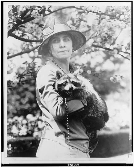 Coolidge pet raccoon