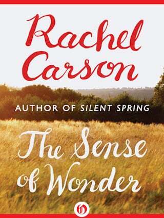 The sense of wonder by rachel carson2