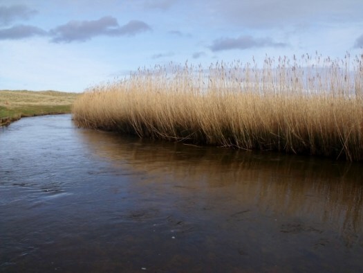 waters of philorth