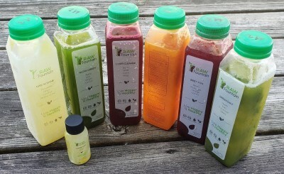 Raw Fountain 1 day of Juice