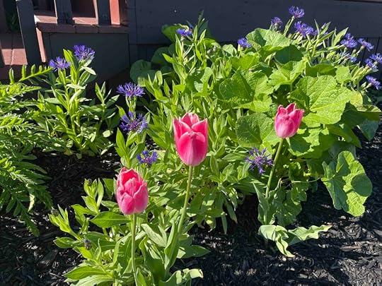 Baddeck, Cape Breton