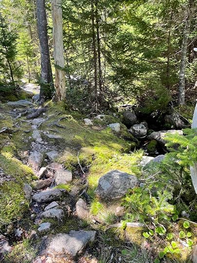 Jack Pine Trail, Highlands National Park, Cape Breton