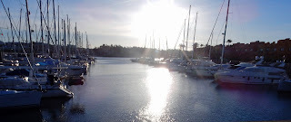 Photo © Michael Embry 2022