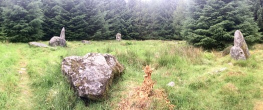 Loudon Wood Stone Circle