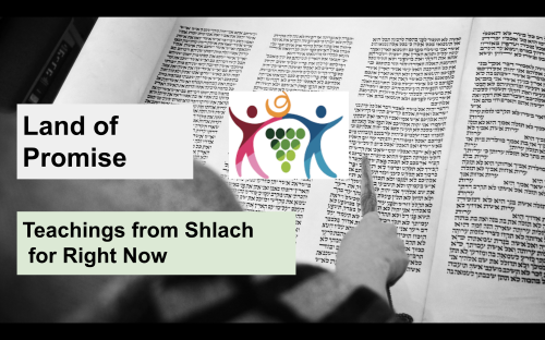 Land of Promise: Teachings from Shlach for Right Now