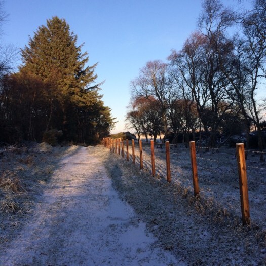 snowy path to a cover reveal