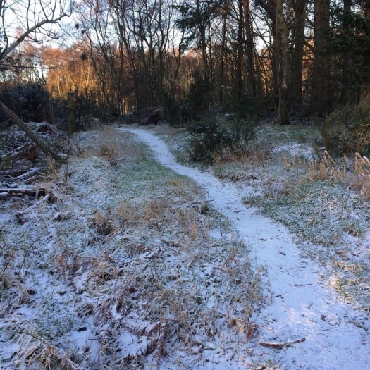 narrow path to a cover reveal
