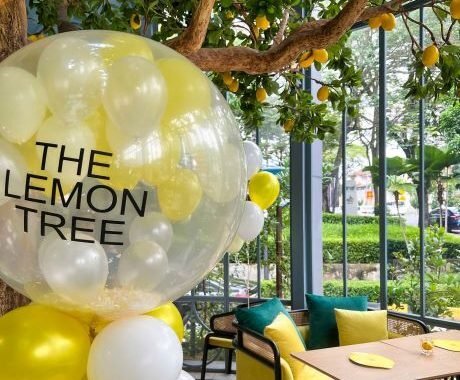 The Lemon Tree