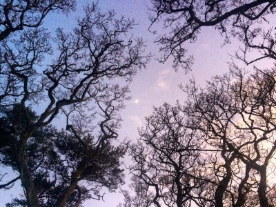 sunset sky during lockdown