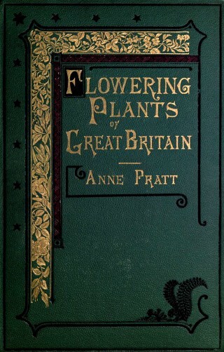 Anne Pratt’s Flowers, Ferns, Quiet Ferocity: How a Middle-Aged Victorian Woman Became One of the Great Masters of Scientific Illustration