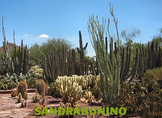 フェニックスの有名な砂漠植物園