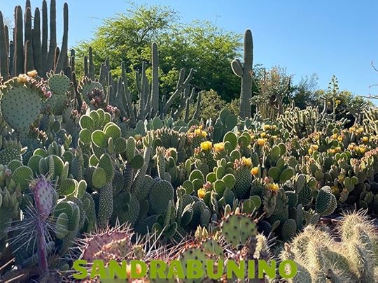 フェニックスの有名な砂漠植物園