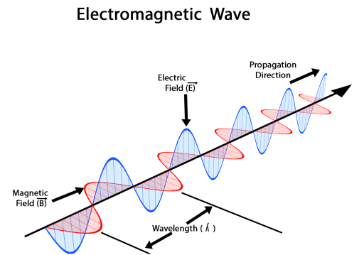 Faraday Dreamed of Electromagnetic Waves
