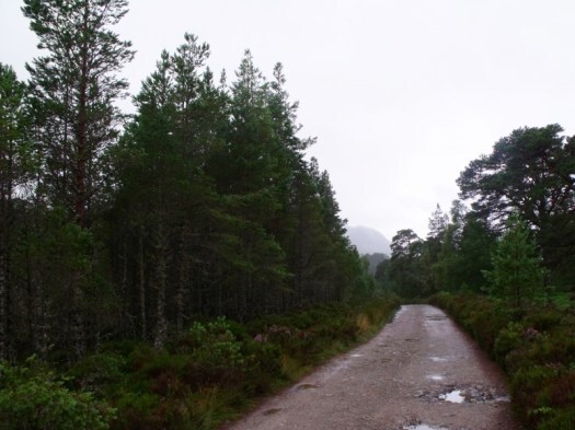 Track leading into the Glen Affric in the Highlands of Scotland