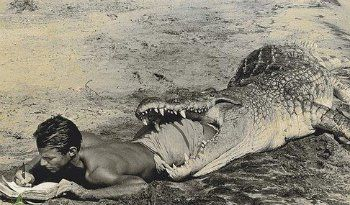 Author, Writing, Publishing