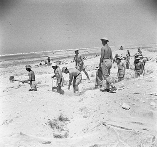 British troops digging defensive trenches near El Alamein, Egypt, 4 Jul 1942 (Imperial War Museum: 4700-32 E 13924)