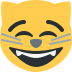 😸