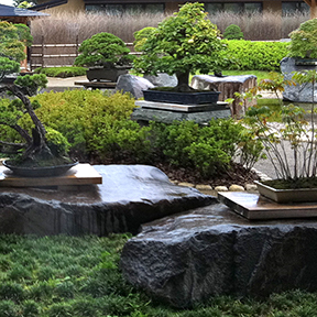 Bonsai Art Museum in Omiya
