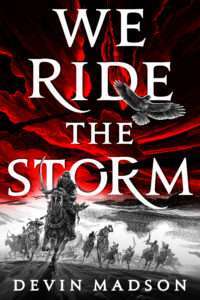 Cover for We ride the storm by Devin Madson