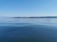 An expansse of calm blue water with a sliver of dark land just above the mid-point. A single white sailed yacht sits in the centre.