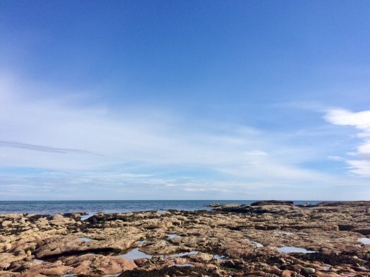 blue mind over the rockpools