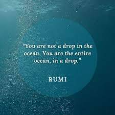 100+ Rumi Quotes on Love, Life, Nature ...