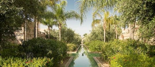 XXL coconut palms, small cactus gardens, a pond of water lilies and lush greenery flowing with the songs of birds and frogs contribute to the preserved state of the Riad, the highest spot at Club Med Marrakech La Palmeraie.