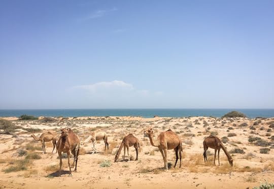 On the way to the salt cave of Qeshm, Iran
