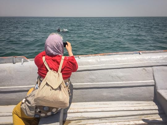 Dolphin watching, Hengam, Iran