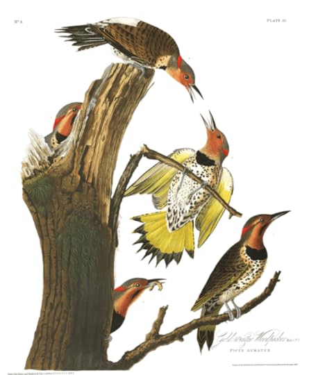 working through overwhelm