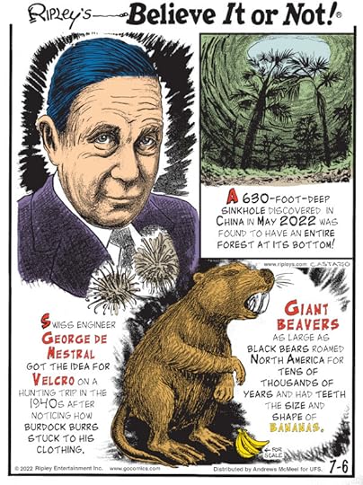 1. A 630-foot-deep sinkhole discovered in China in May 2022 was found to have an entire forest at its bottom! 2. Swiss engineer George de Mestral got the idea for Velcro on a hunting trip in the 1940s after noticing how burdock burrs stuck to his clothing. 3. Giant beavers as large as black bears roamed North America for tens of thousands of years and had teeth the size and shape of bananas.