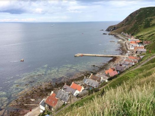 Crovie