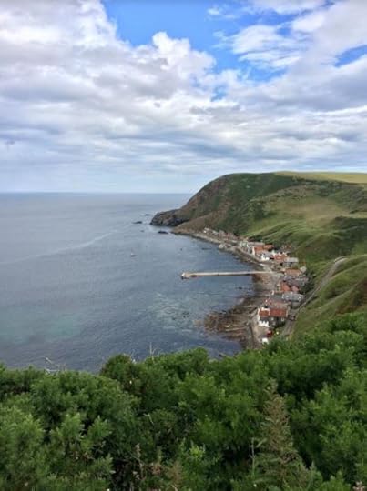 Crovie from above