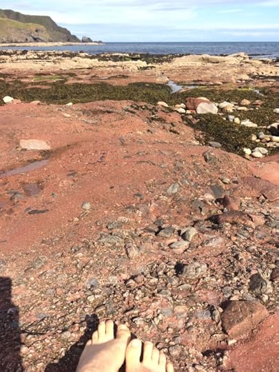 blue mind, bare feet and pink rocks