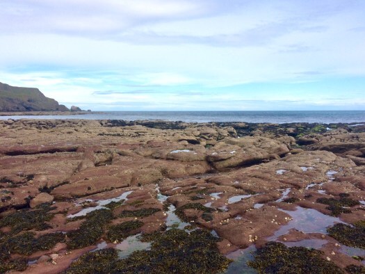 blue mind and rockpools