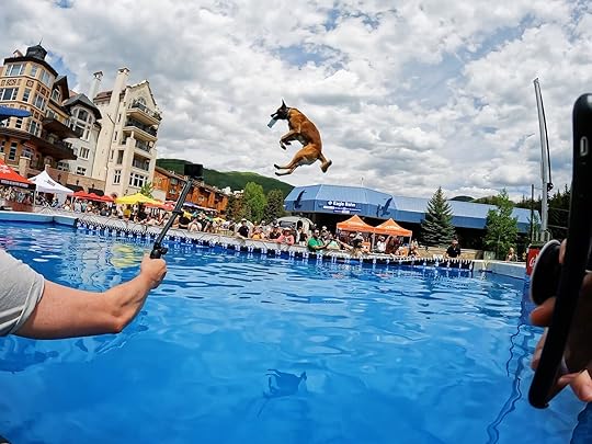 gopro mountain games - big air for dogs