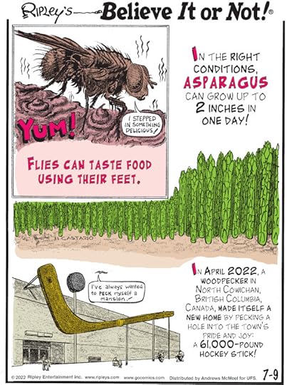 1. Yum! Flies can taste food using their feet. 2. In the right conditions, asparagus can grow up to 2 inches in one day! 3. In April 2022, a woodpecker in North Cowichan, British Columbia, Canada, made itself a new home by pecking a hole into the town's pride and joy: a 61,000-pound hockey stick!