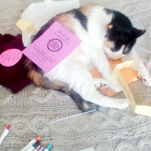 a black, white, an orange calico cat sleeps atop a manila folder, various papers scattered around her, and a coupon on top of her. 