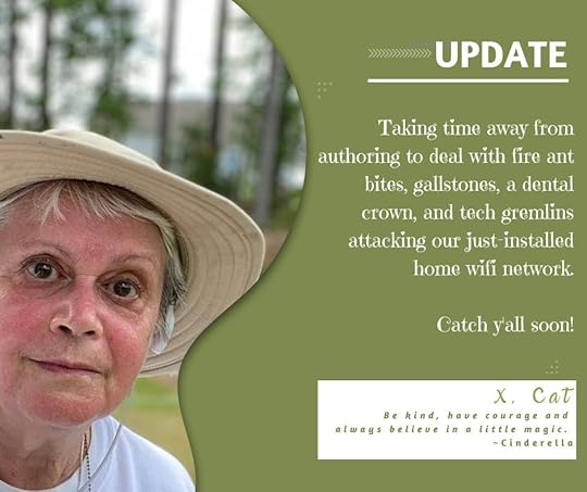 How I learned to rebound from burnout ~ catmichaelswriter.com