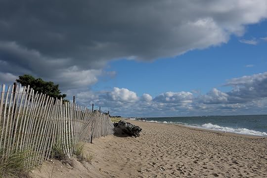 Beach Ocean Hammonasset Beach State Park. Dune ocean landscap