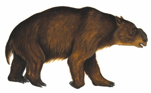 a diprotodon australian megafauna