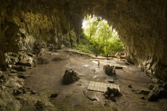liang bua cave flores indonesia