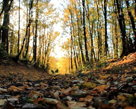 Is Focusing Scattered Attention A Challenge for You Like it is For Me?