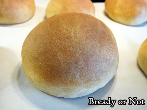 Bready or Not Original: Buttermilk Bread Rolls in the Bread Machine 