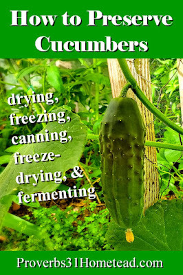 How to Preserve Cucumbers