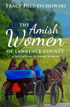 The Amish of Lawrence County