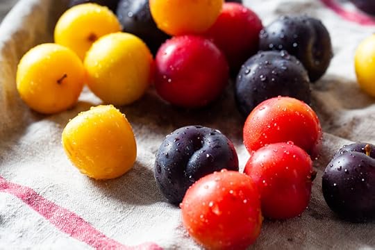 plum and cream scone cobbler-01