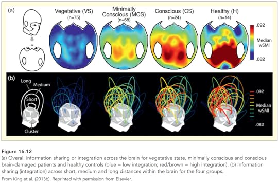 image of conscious states connectivity