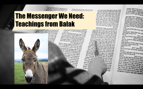 Torah scroll with a photo of a donkey and title text superimposed