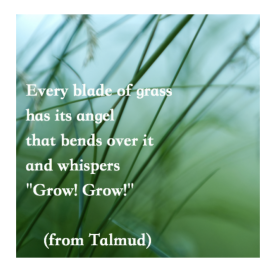 quote about an angel behind every blade of grass